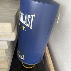 Everlast Punching Bag