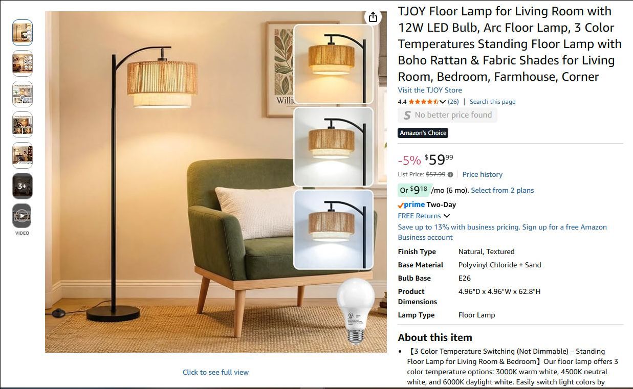 Floor Lamp for Living Room