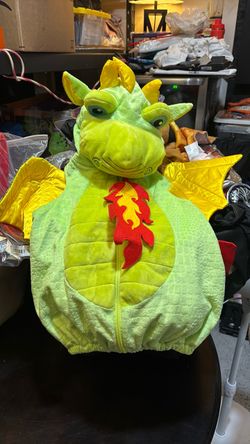 Dragon costume 18m