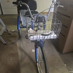 Adult tricycle