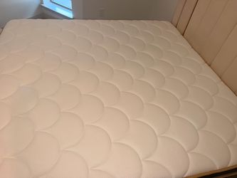 Mattress/ colchon