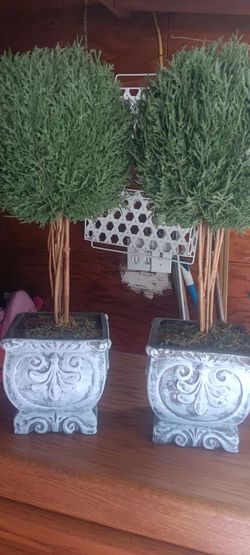 2 tree decor