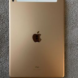 iPad 7 Wi-Fi+cellular Unlocked