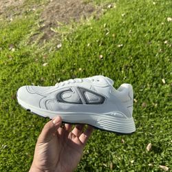 DIOR B30