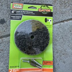 Paint and rust remover 