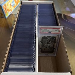 Sports Card Collection 