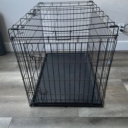 Dog Create 