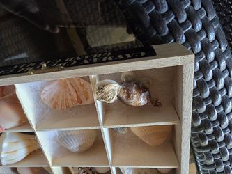 Shells