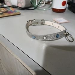 Assorted Dog Collars