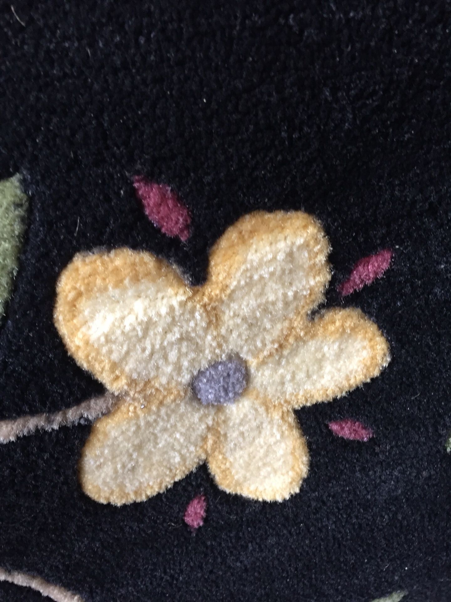 Stunningly Beautiful 5x7 area rug