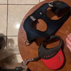 Dog Leash And Small Walking Vest 