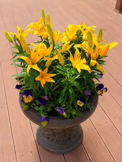 Vintage Resin Christmas Tree Stand Planter | Multi-Purpose Garden Urn Pot