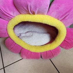 Cat Bed