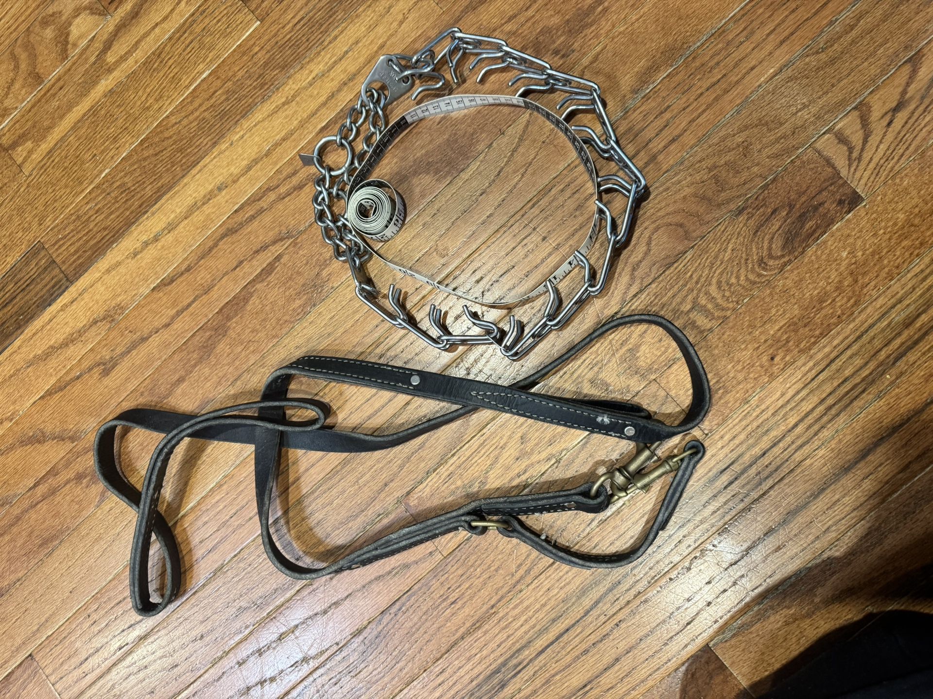 Dog Collar