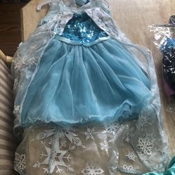 Elsa  Costume 