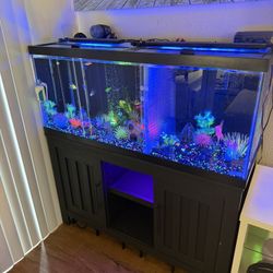 75 Gallon Freshwater Fish Tank 