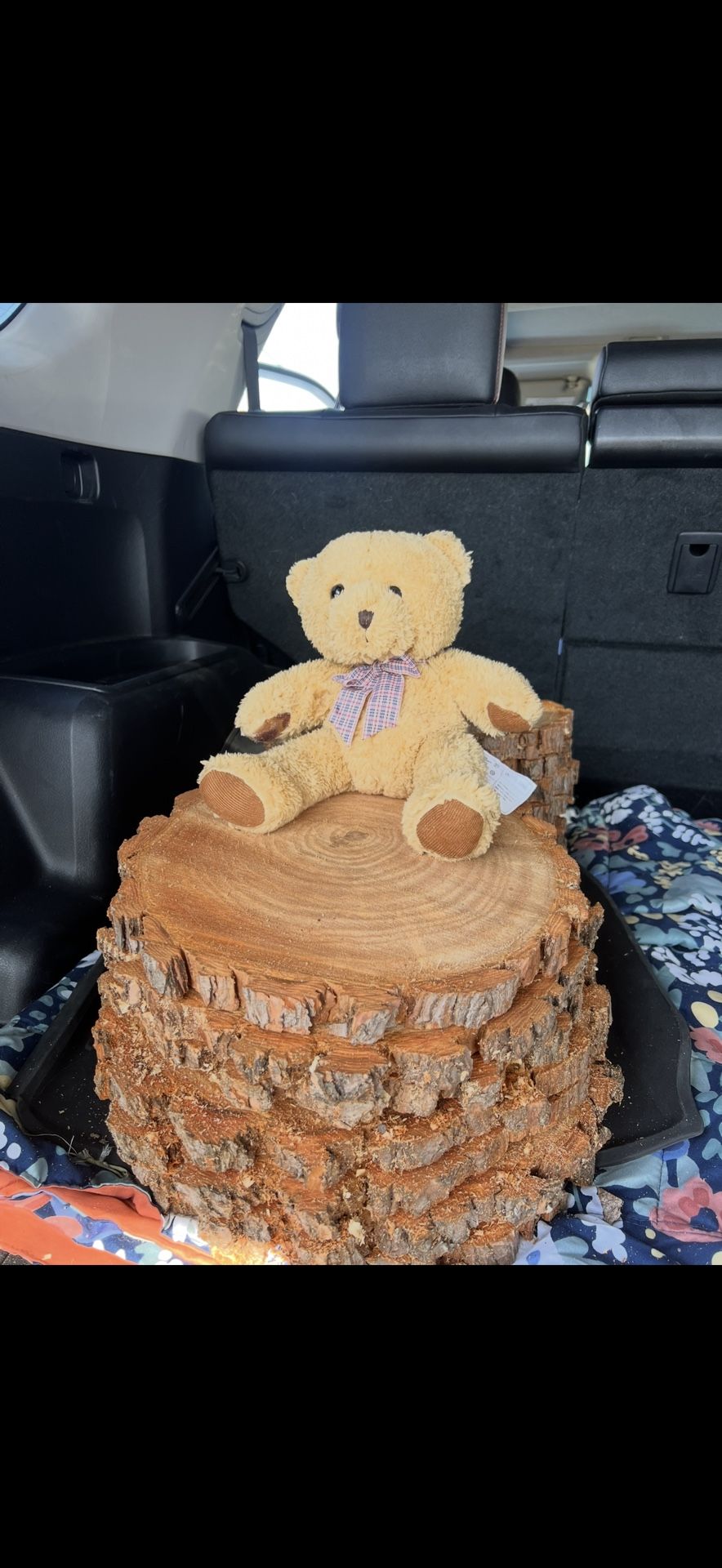 Wood Center Pieces (Wood Slices)