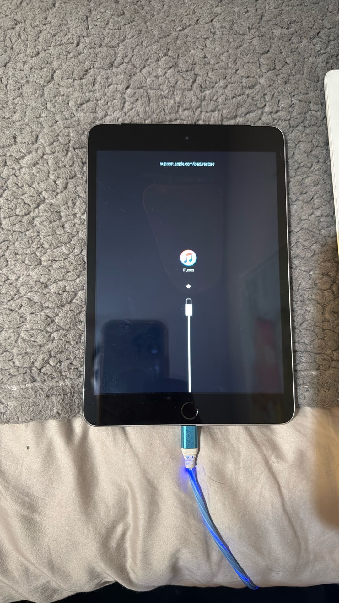 iPad