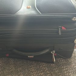 Swiss Rolling Mini Case