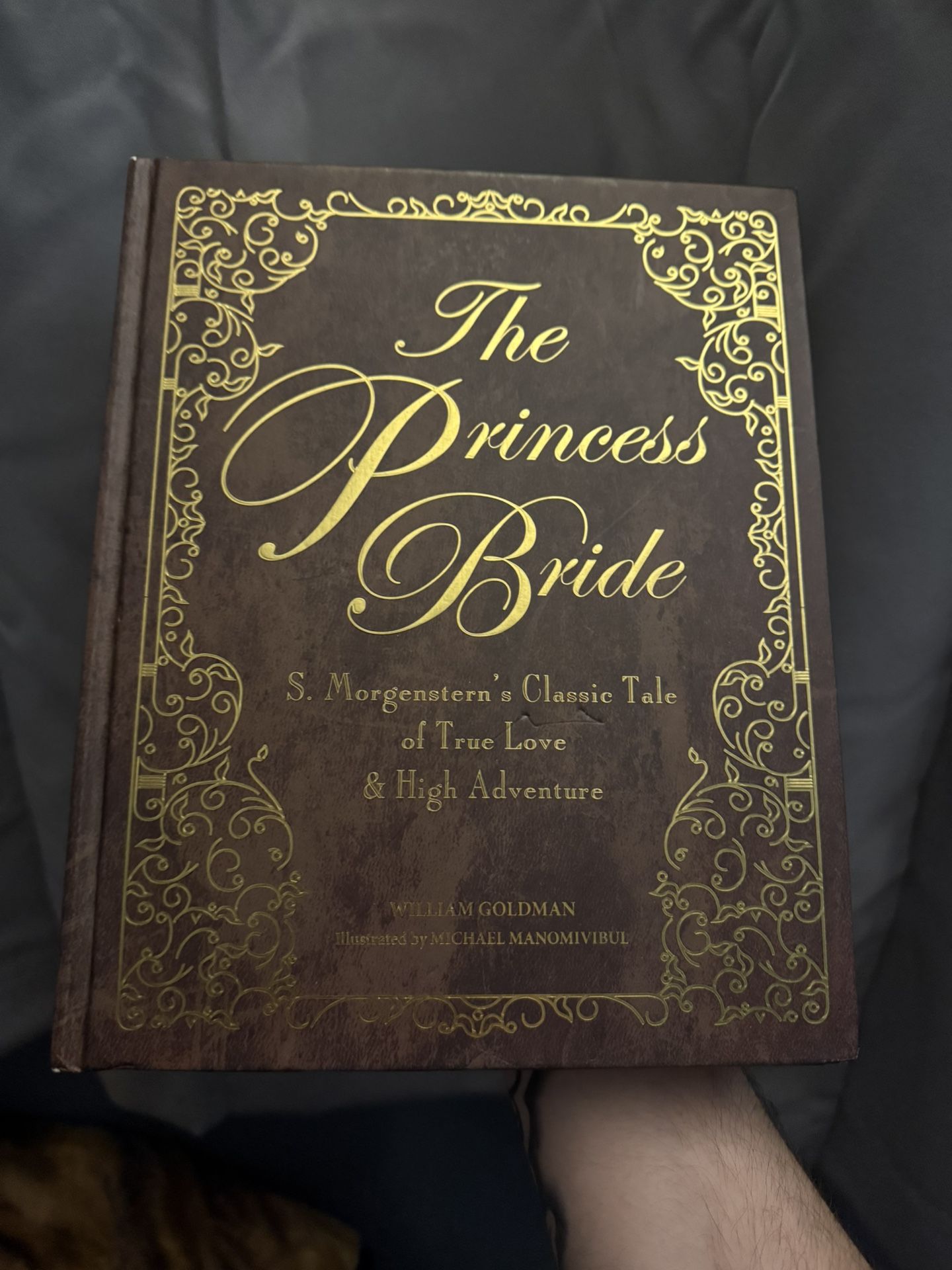 The Princess Bride Book