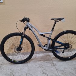 SPECIALIZED RUMOR 29 ER FULL SUSPENSION MOUNTAIN BIKE ( CHECK MY OTHER BIKES)