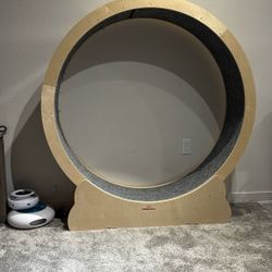 Already Assembled Cat Treadmill For Sale 