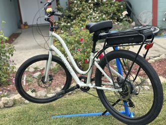 Electric townie Electra