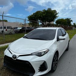 2019 TOYOTA COROLLA 