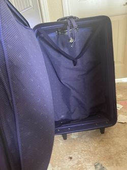 Large suitcase purple with plant of space