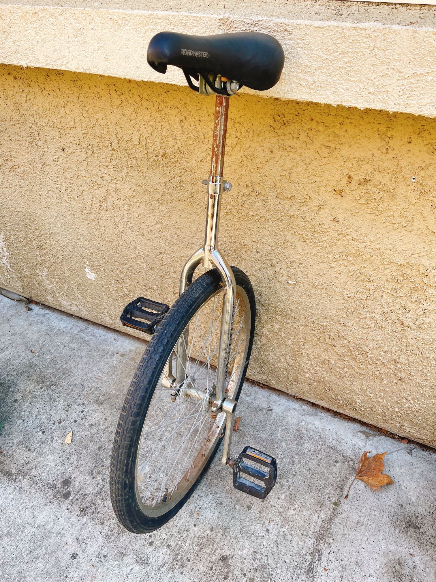 Unicycle