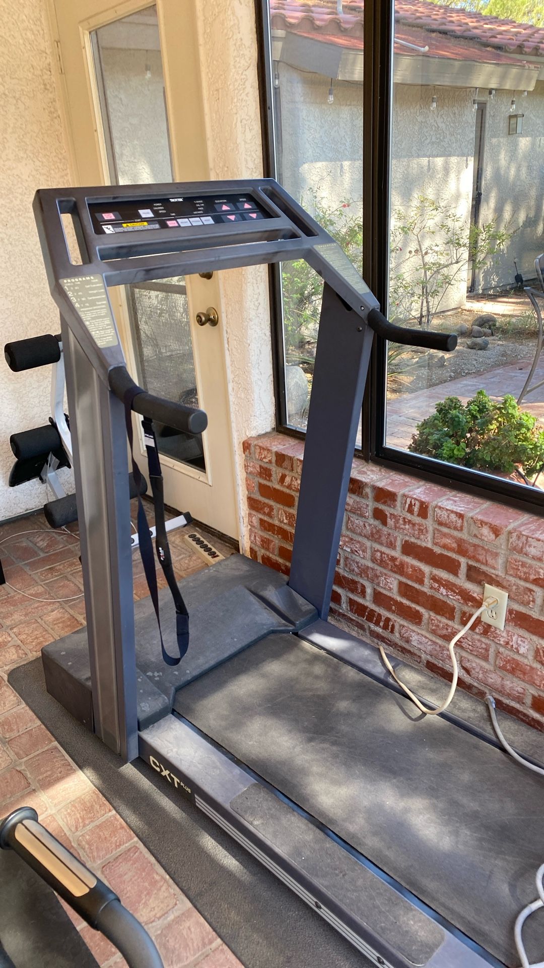 Trotter Treadmill