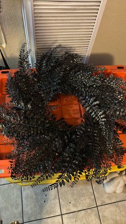 Halloween reef