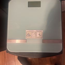 Electronic Weight Scale 