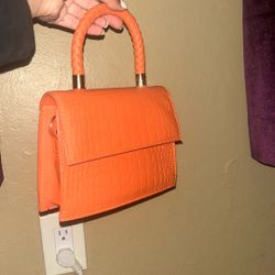 Orange Purse/ Bag 