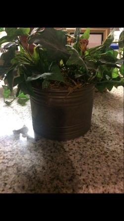 Medium Artificial Plant