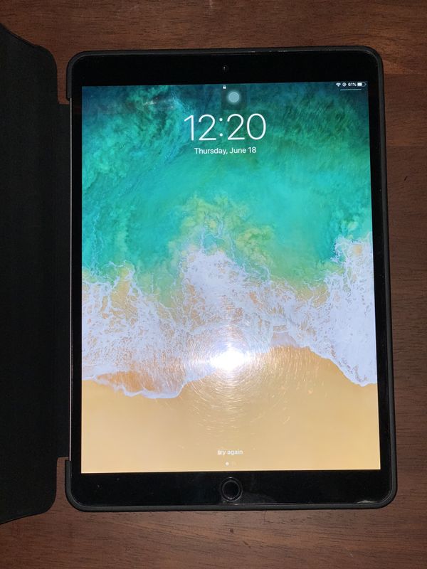 Apple IPad Pro First Generation 10.5 in 256 gb WITH APPLE PENCIL