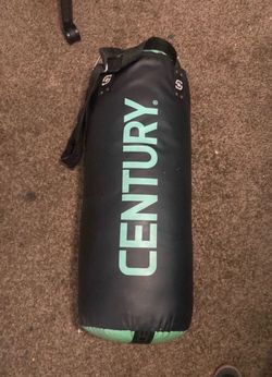 Punchin bag& boxing gloves