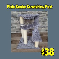 New Pixie Senior Cat Scratching Post: Njft
