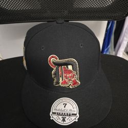 Detroit Tigers Fitted Hat