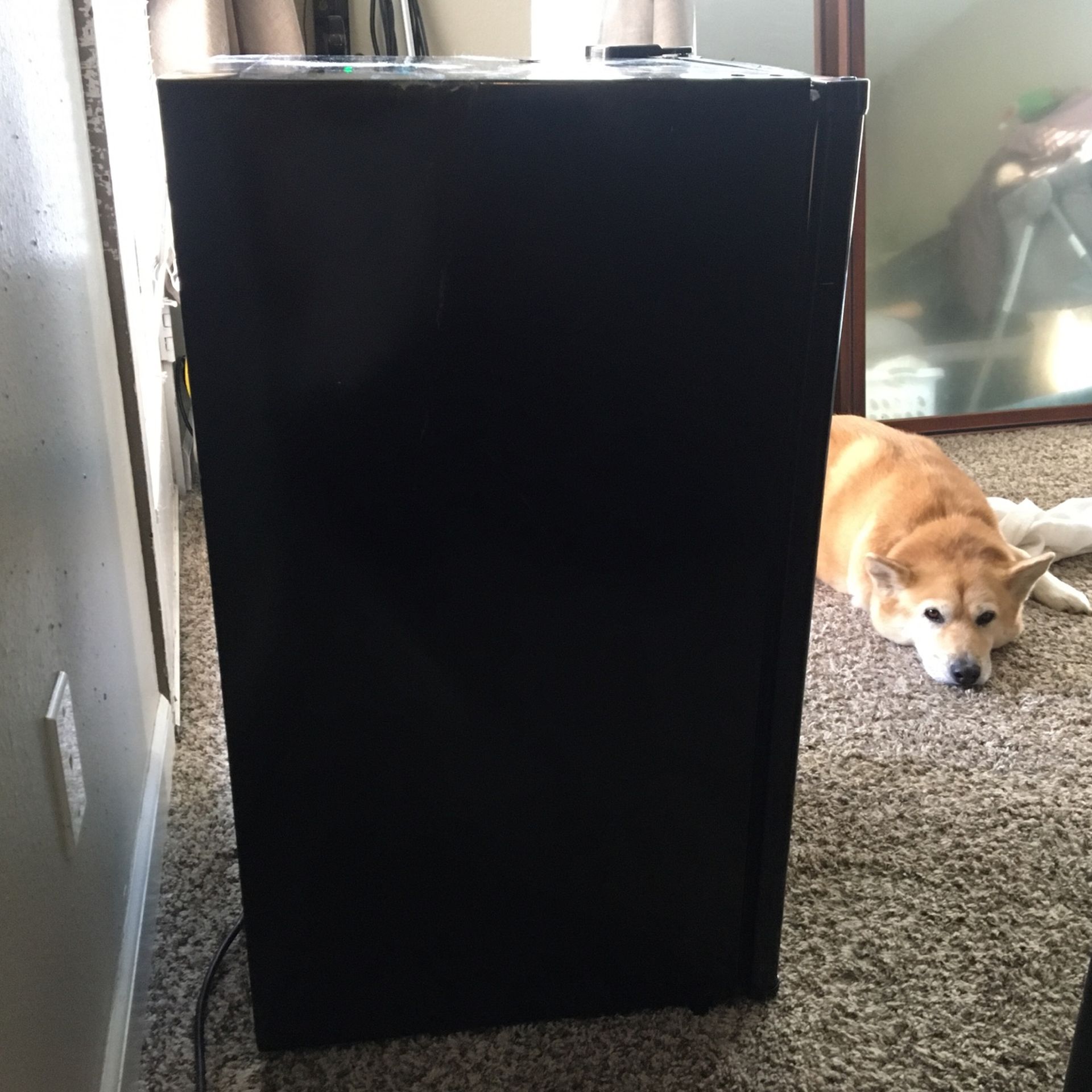 Black  Mini Fridge (h 32inch x w 18) Fully Functioning 