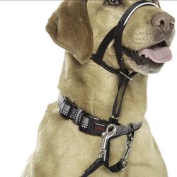 Halti Head Collar, Head Halter Collar for Dogs, Head Collar to Stop Pulling for Small Dogs