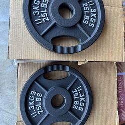 Olympic Weight Set 25 Lbs Pair 