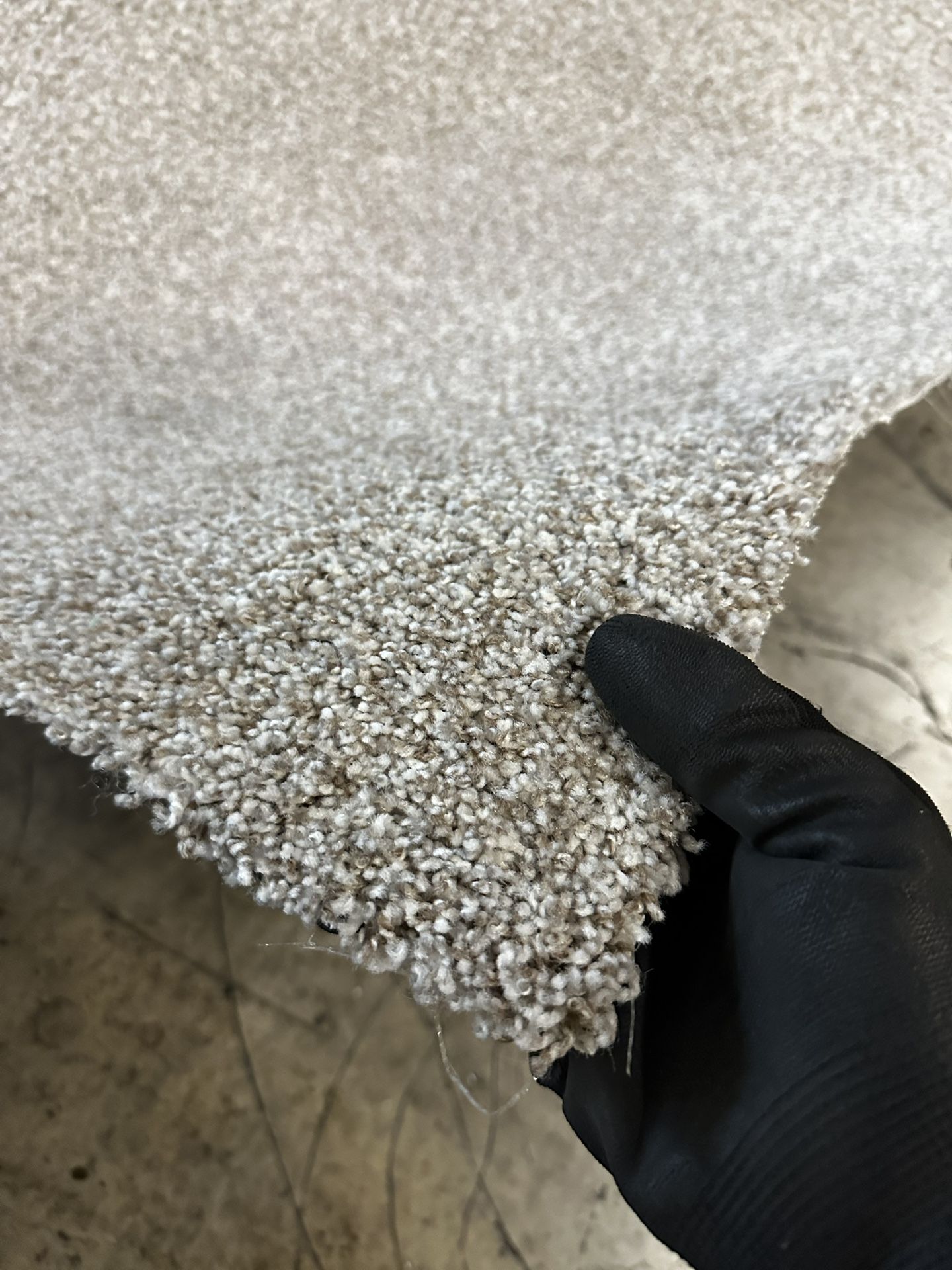 Carpet Gray, 12ft x 8ft