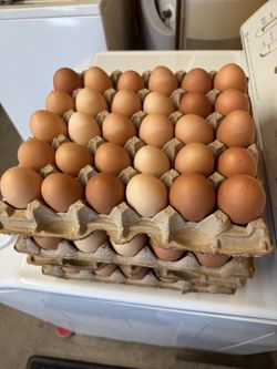 Fresh Eggs (Flat of 30). $15