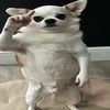 Poco