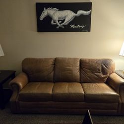 Brown Leather Sofa