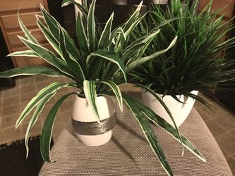 Potted FAKE plants