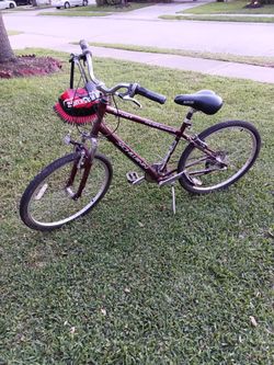 Schwinn Bicycle
