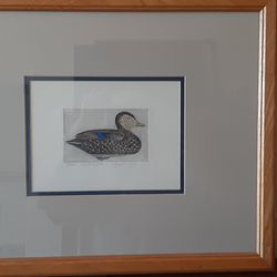 "Black Duck Decoy" numbered engraving by Larry Crawford
