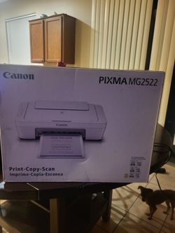 CANON PIXMA MG2522 PRINT COPY SCANNER